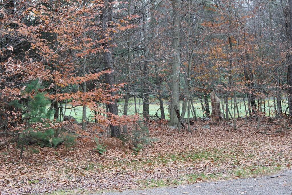 Luxury 4 Bedroom House In Pocono Mountains In Golf Course Near Lake Tobyhanna المظهر الخارجي الصورة